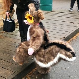 Childrens Squirrel Halloween Costume